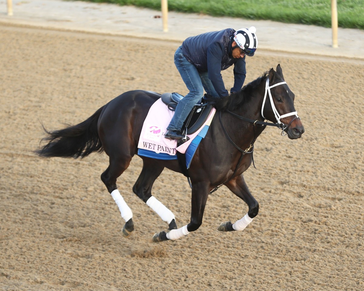 Oaklawn Leading the Charge with Nine Kentucky Derby Runners and Three Oaks Runners
