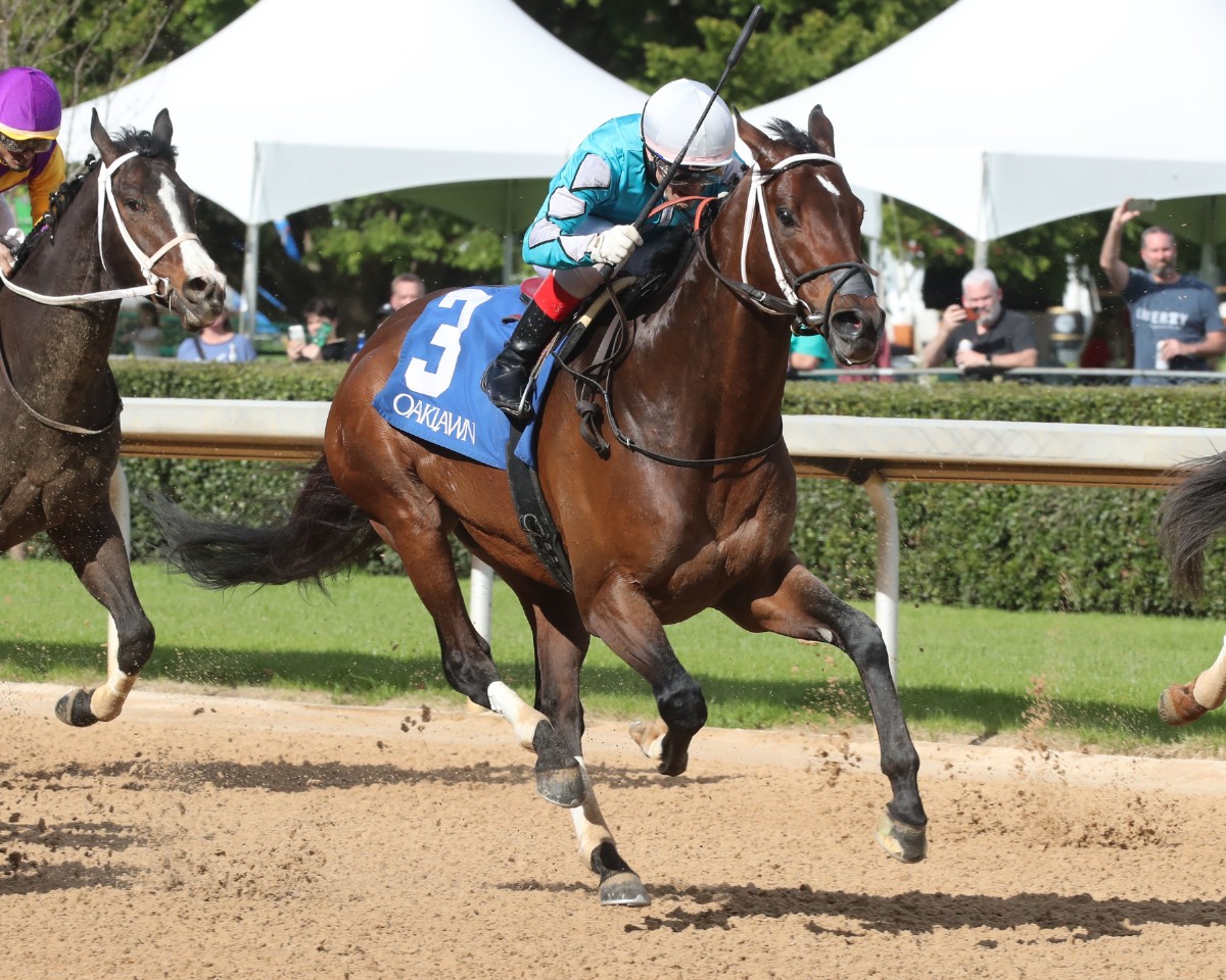 MAN IN THE CAN FAVORED IN FULL ARKANSAS BREEDERS’ CHAMPIONSHIP